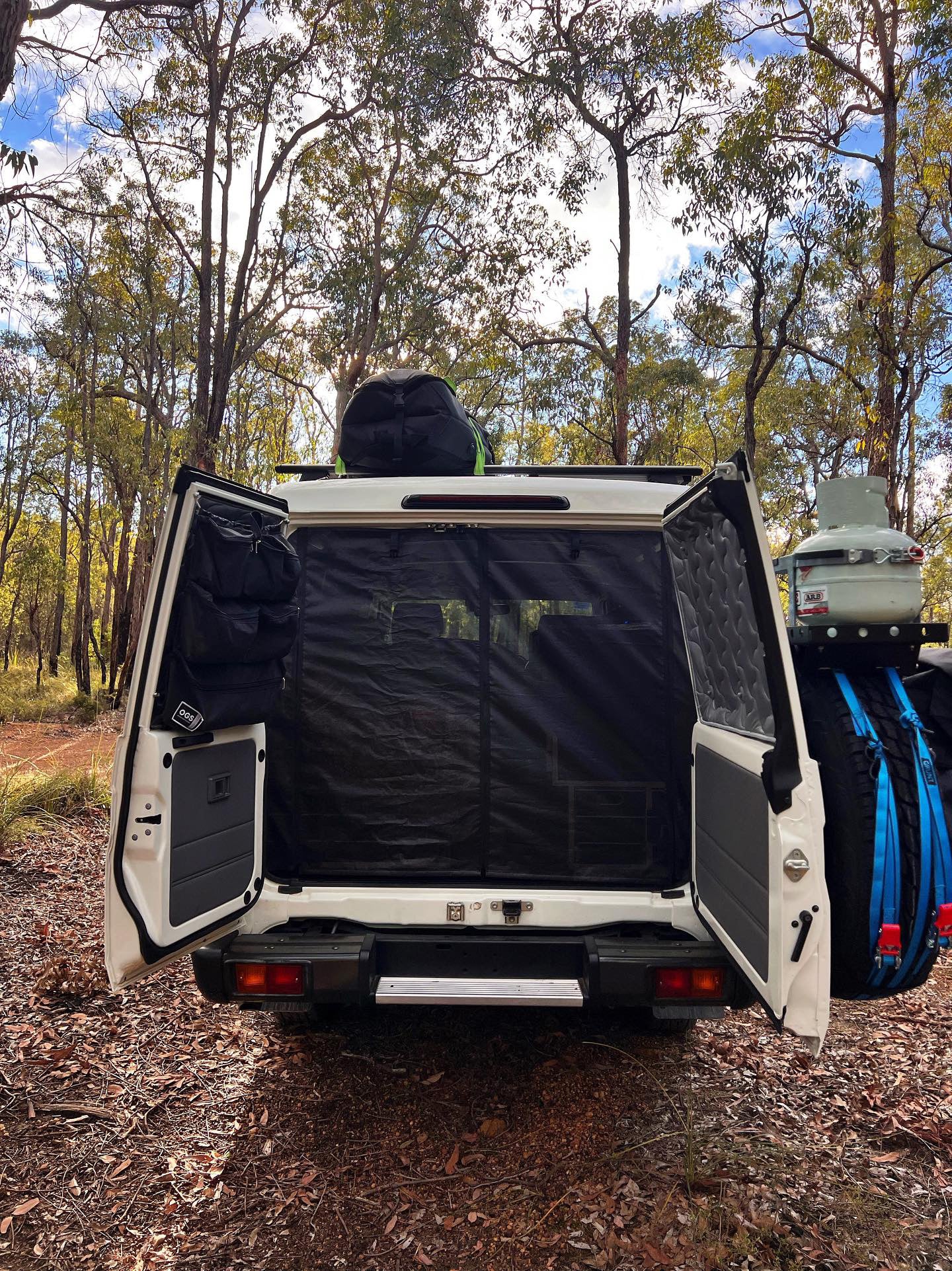 Wagon Fly Screen